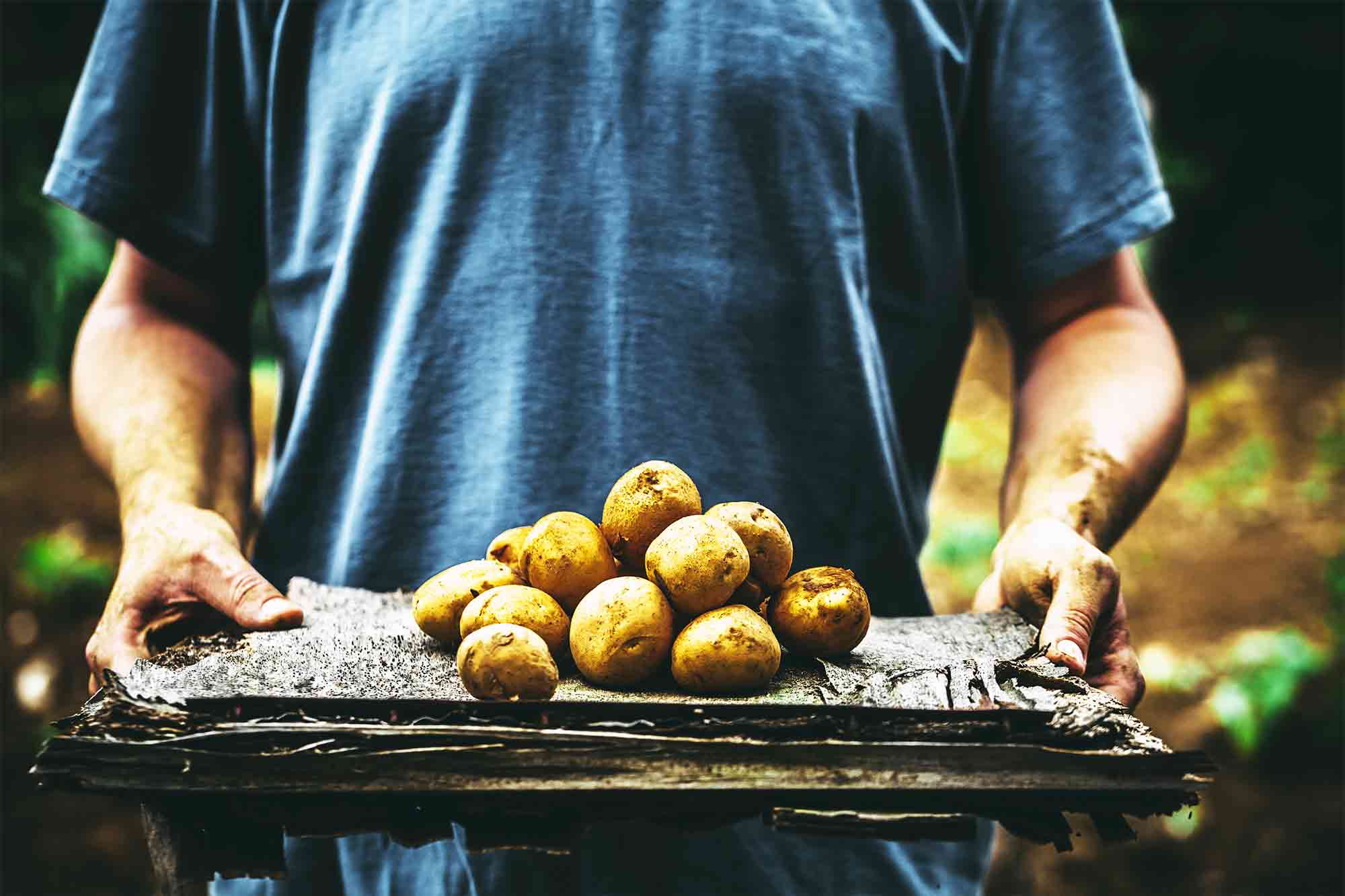 History of Potato + 5 Video Recipes - How To Make Recipes