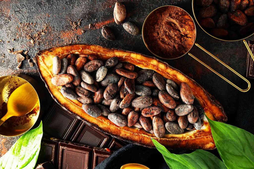 Chocolate's Journey: The Rich History of Everyone's Favorite