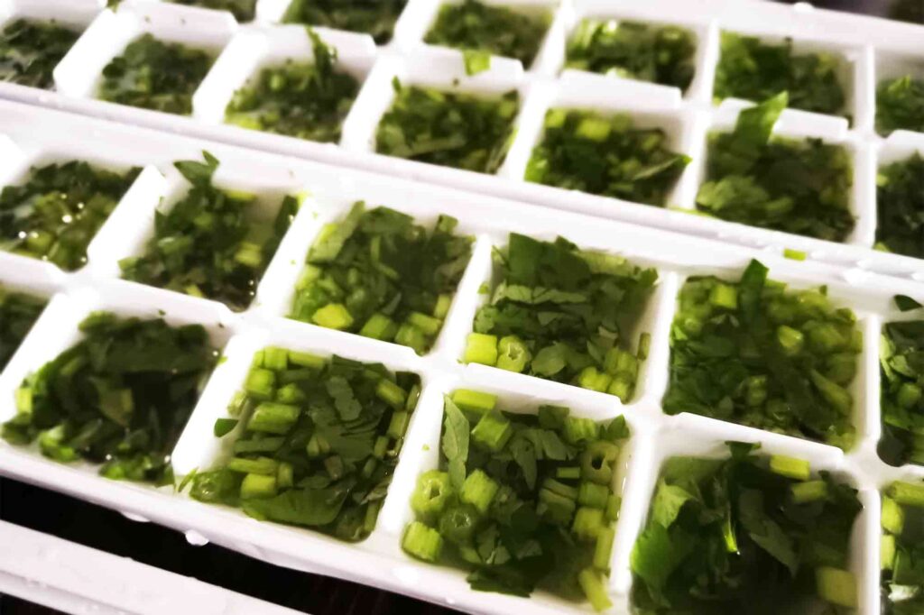 Preserving Freshness of Vegetables and Herbs with Storage Tips