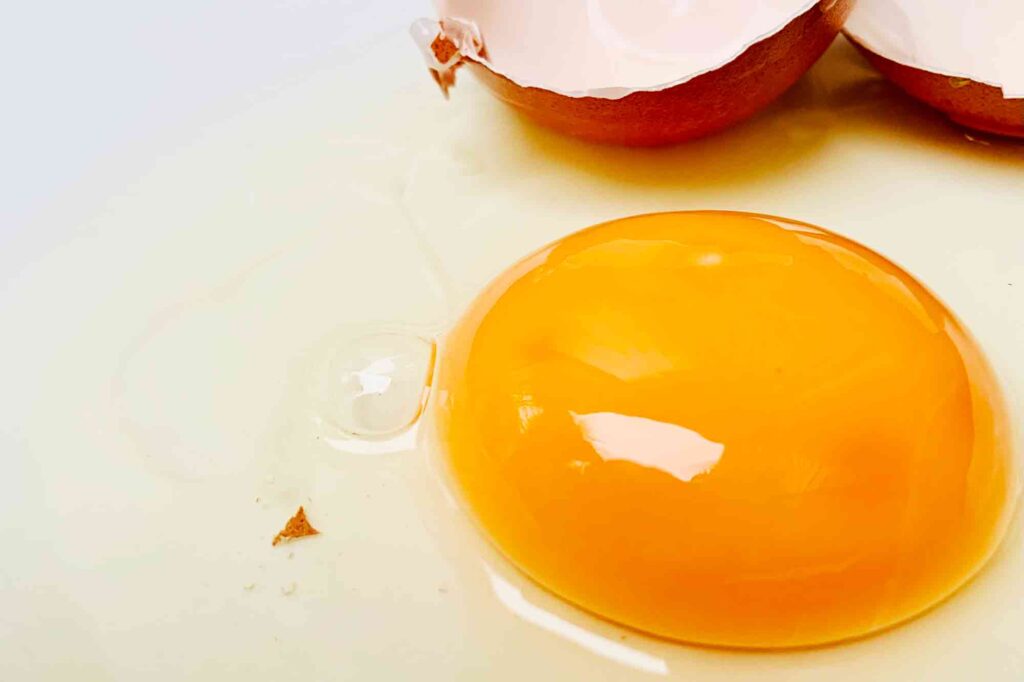 How to Check Egg Quality: Identifying Fresh and Spoiled Ones