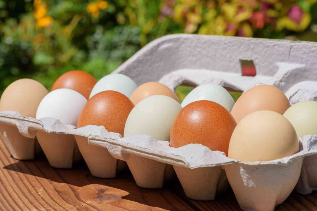 How to Check Egg Quality: Identifying Fresh and Spoiled Ones