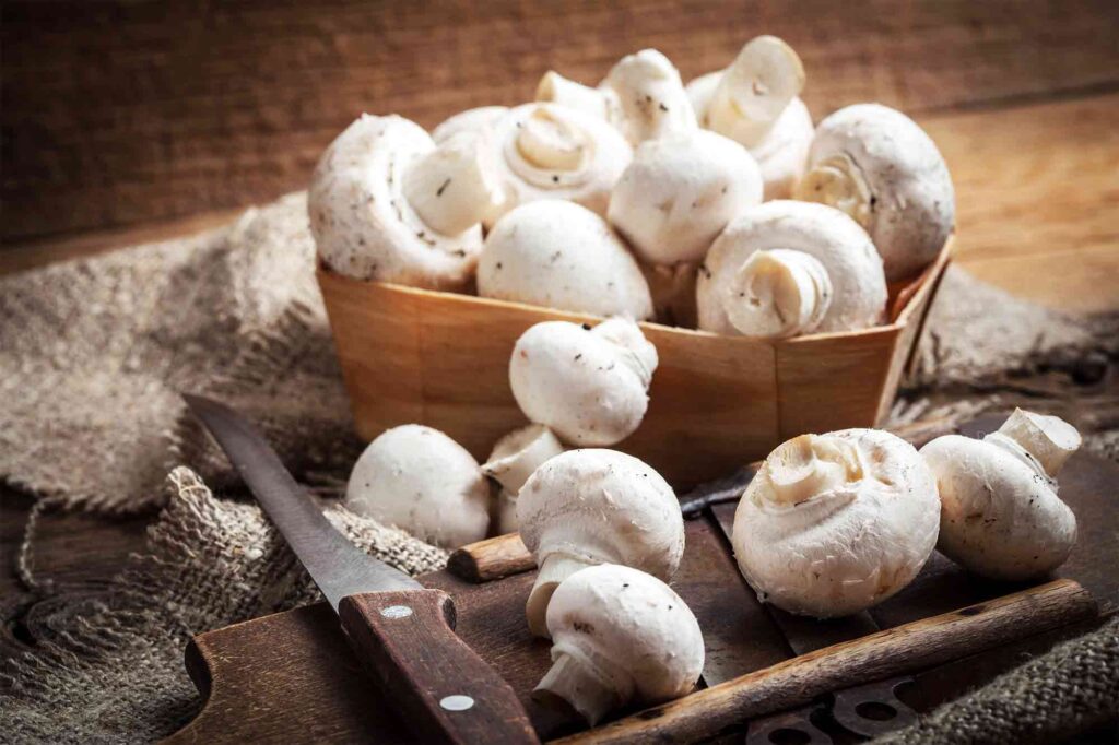 How To Keep Mushrooms Fresh and Flavorful