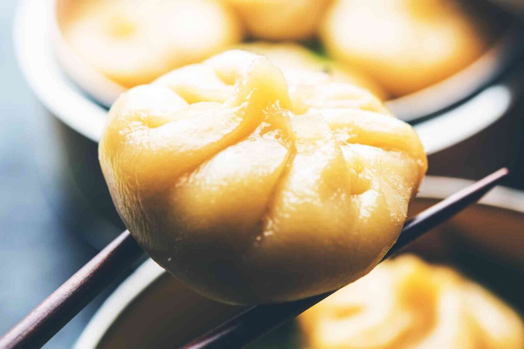 Momo Dumplings Recipe, A Taste of Tradition
