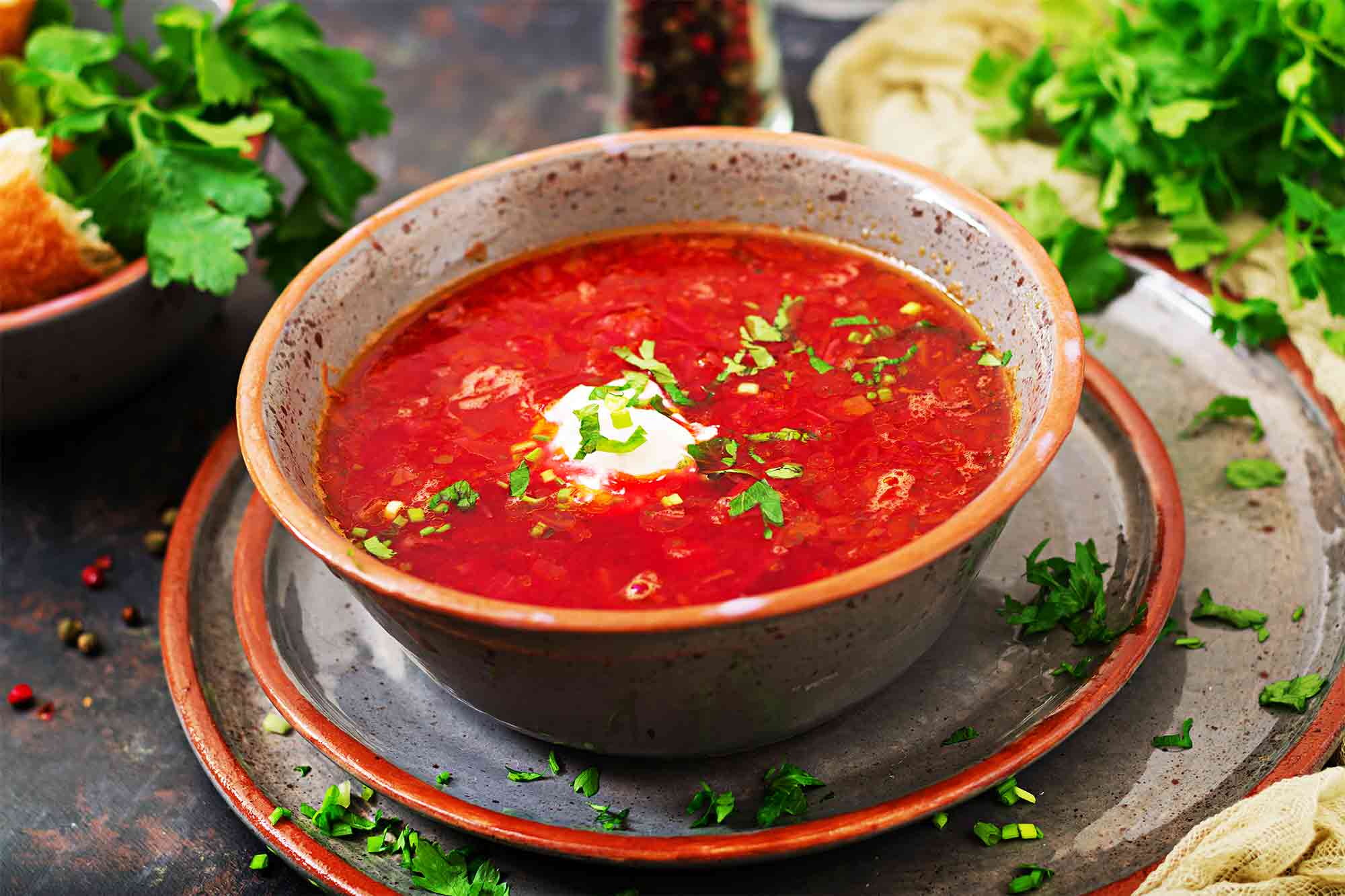 Easy, Homemade Borscht - How To Make Recipes