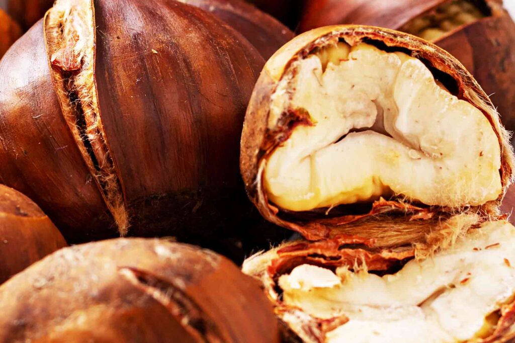 Homemade Roasted Chestnuts Recipe