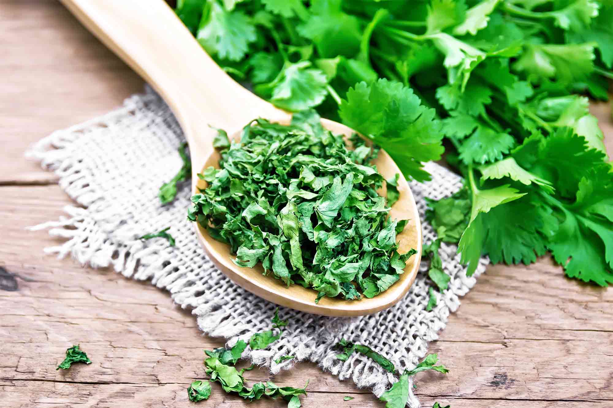Why Some People Detect Soap Taste in Cilantro How To Make Recipes
