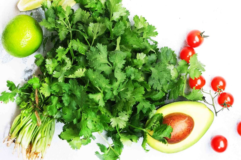 Why Some People Detect Soap Taste in Cilantro