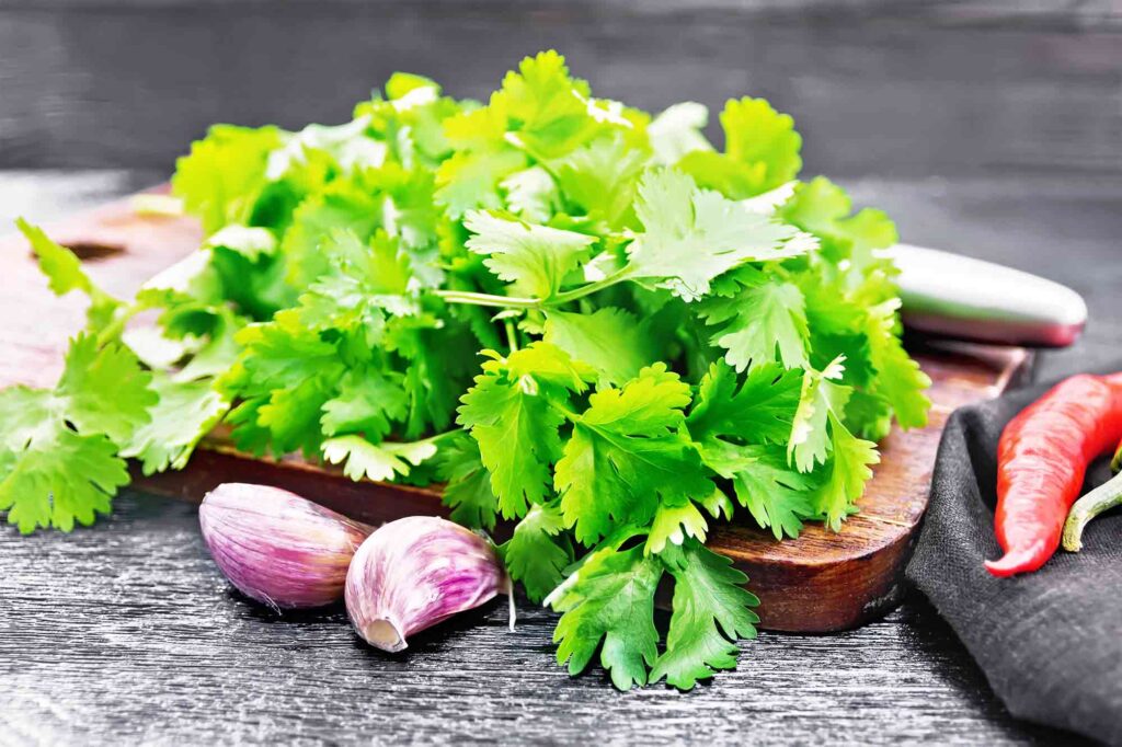 Why Some People Detect Soap Taste in Cilantro