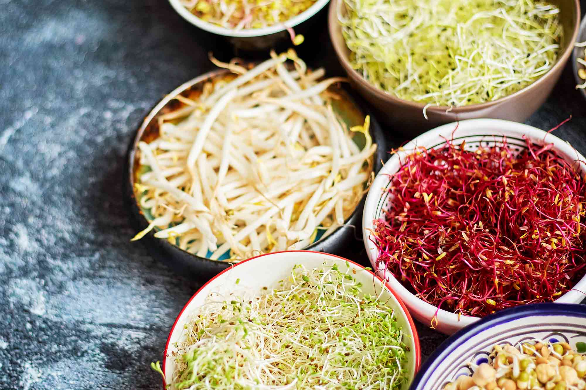 How to Sprout at Home How To Make Recipes