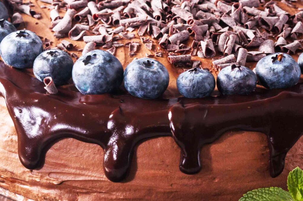 Chocolate Cake with Blueberries